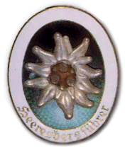 Heeresbergeführer Badge